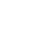 CodeCheck Logo White